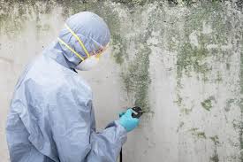 Professional Mold Removal in Juneau, AK